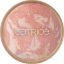 Picture of CA PURE SIMPLICITY BAKED BLUSH C03 7163