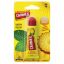 Picture of CARMEX PINEAPPLE & MINT  LIP BALM TUBE 10 GM