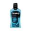 Picture of CLOSE UP COOL BREEZE MOUTH WASH 300 ML