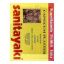 Picture of SANITAYAKI CAPSICUM PLASTER 1 PATCH