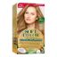 Picture of WELLA SOFT COLOR  80 LIGHT BLOND -65746