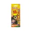 Picture of Fab Lab Kids Toothbrush with Light-Up Clock - Masha and the Bear